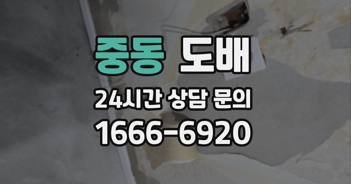 중동 도배