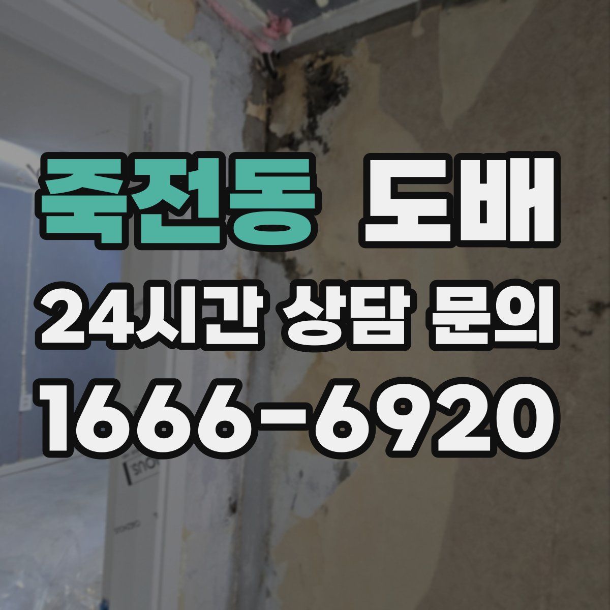 죽전동 도배