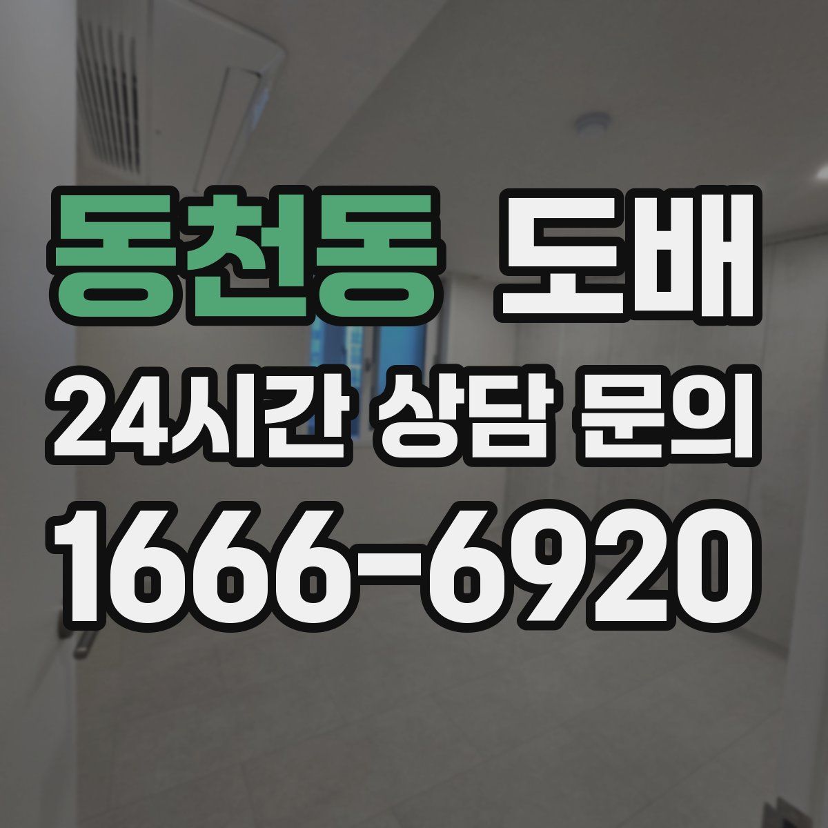 동천동 도배