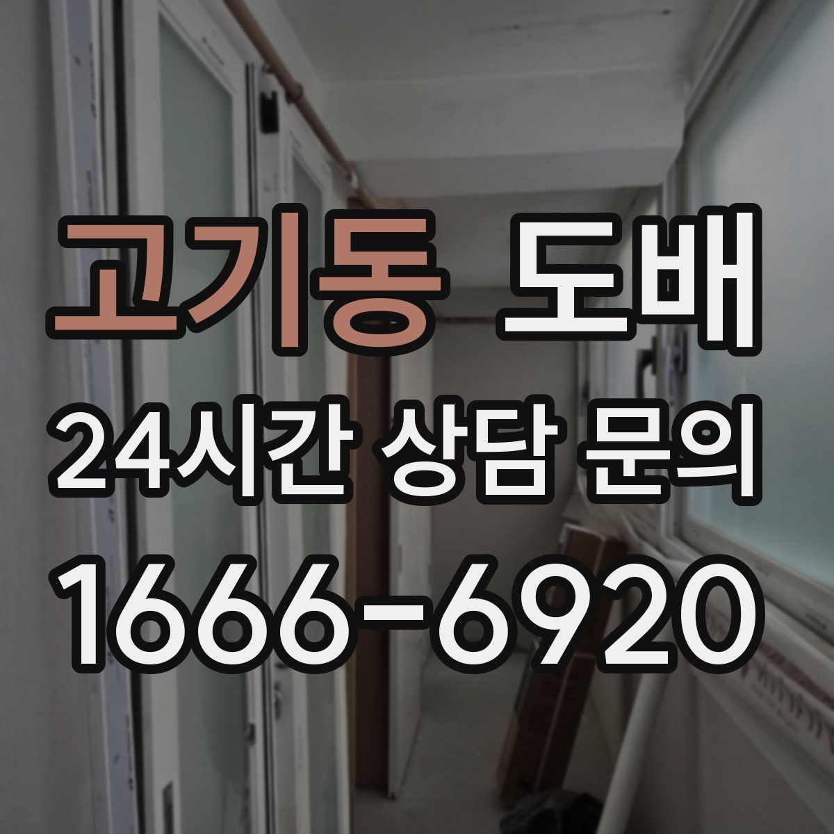 고기동 도배