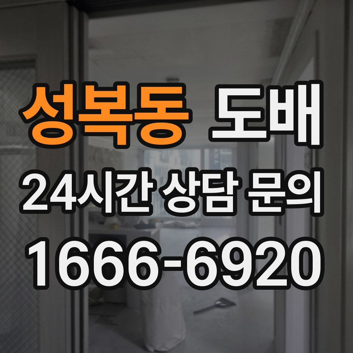 성복동 도배