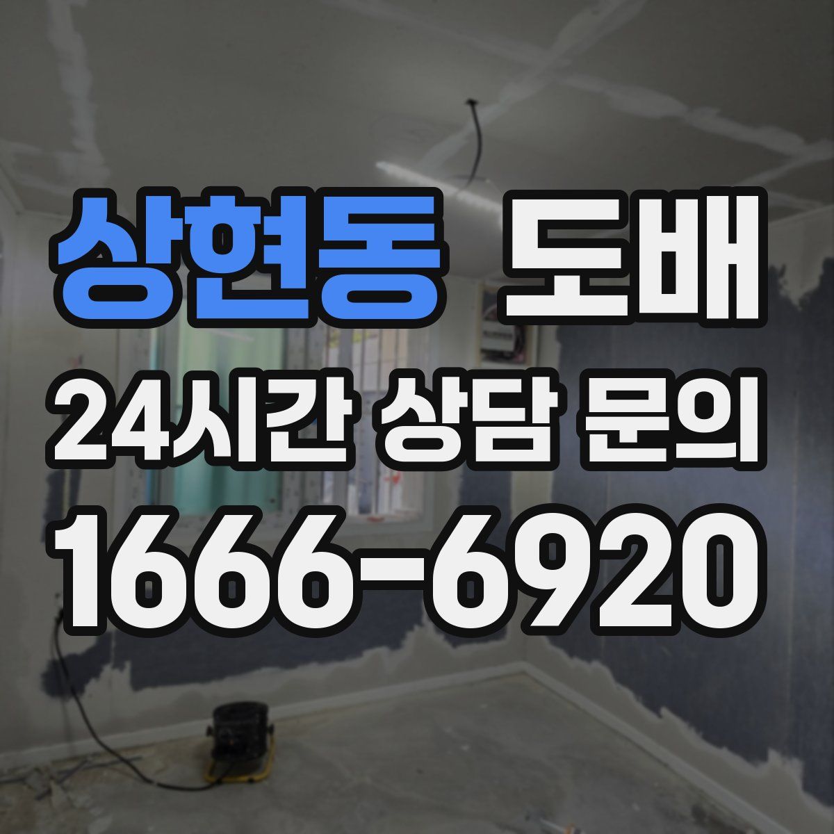 상현동 도배