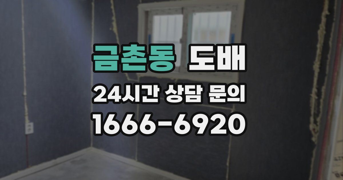 금촌동 도배