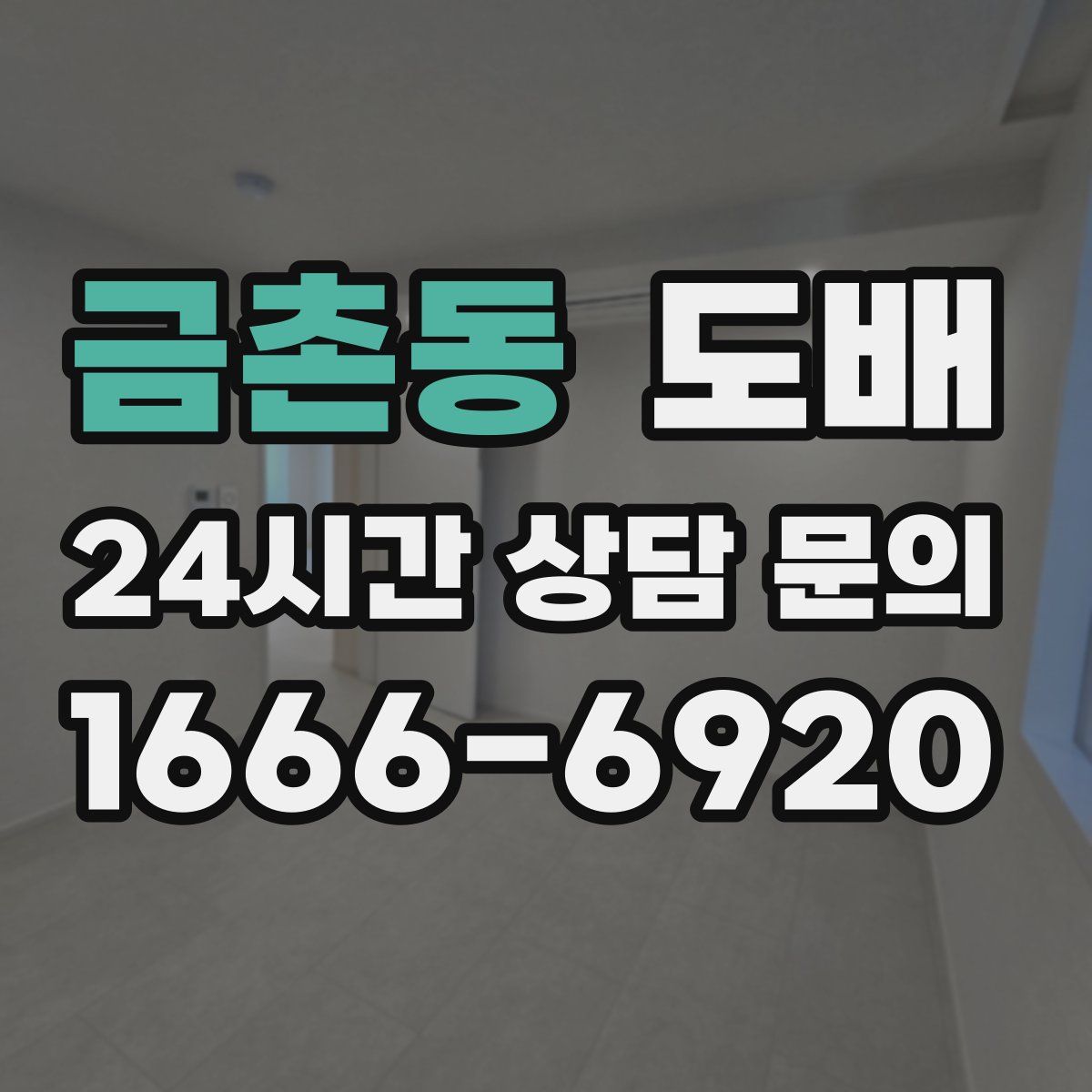 금촌동 도배