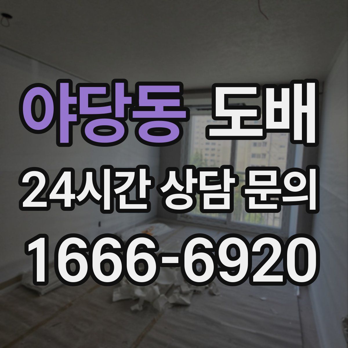 야당동 도배