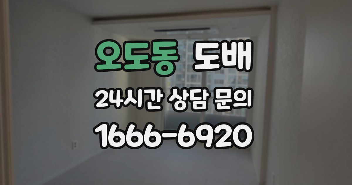 오도동 도배