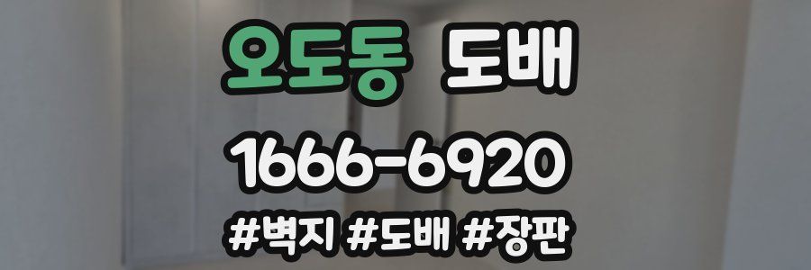 오도동 도배