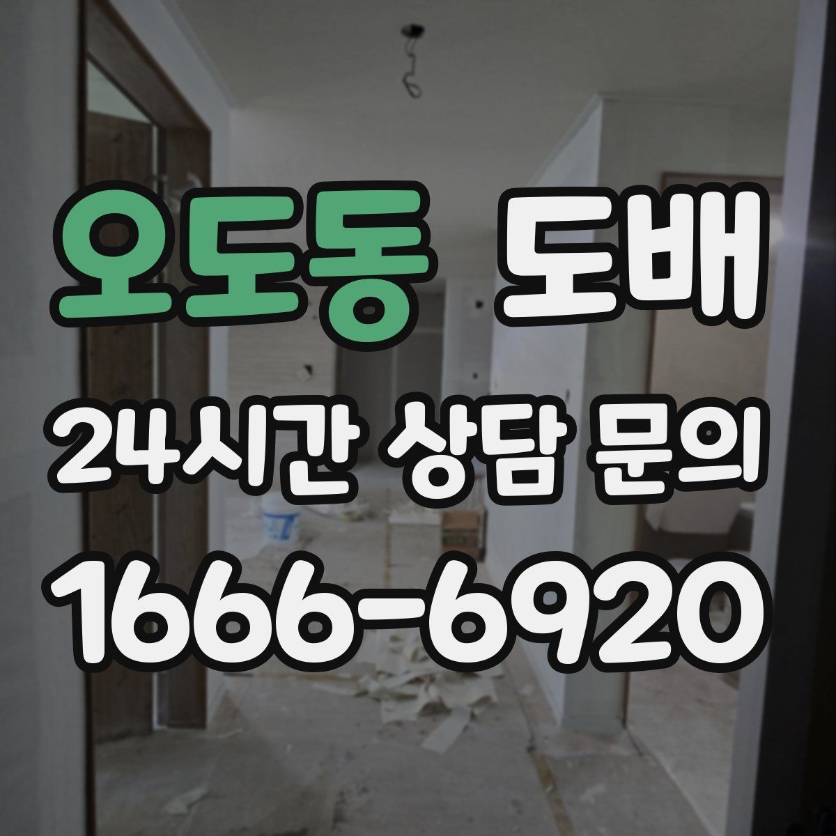 오도동 도배
