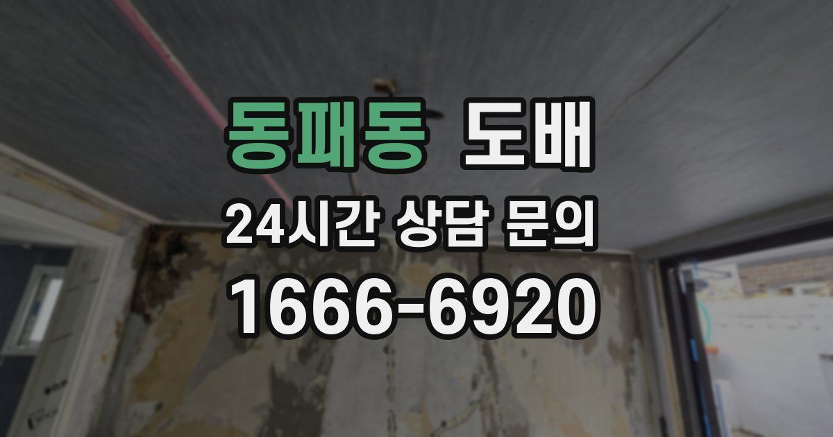 동패동 도배