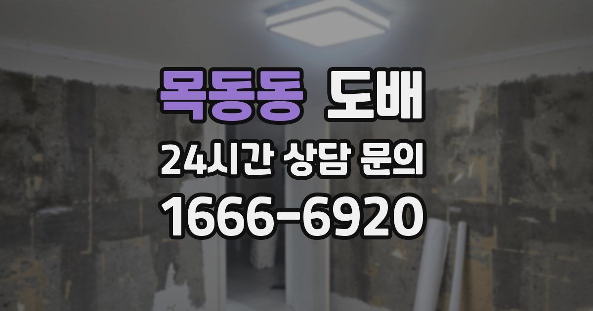 목동동 도배