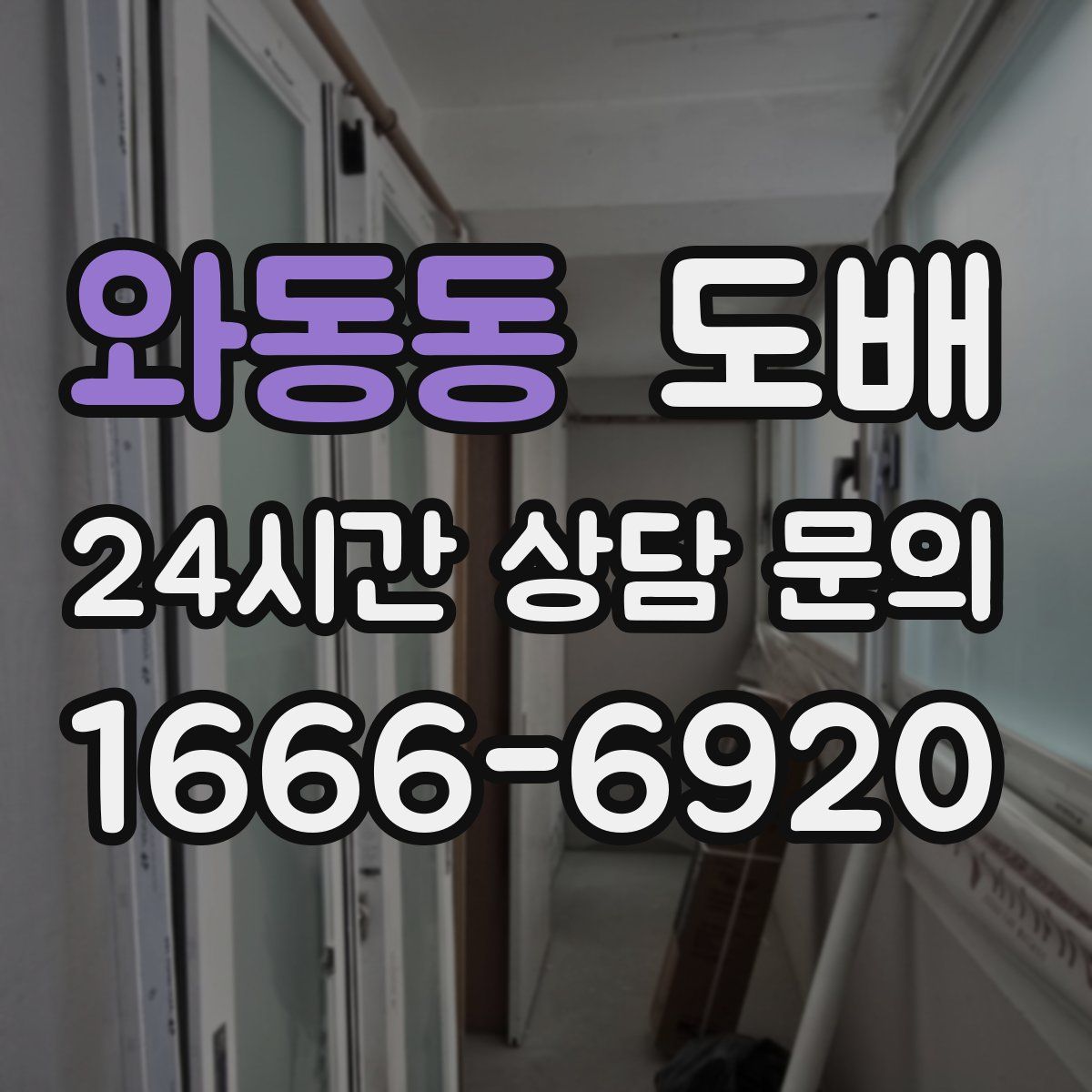 와동동 도배