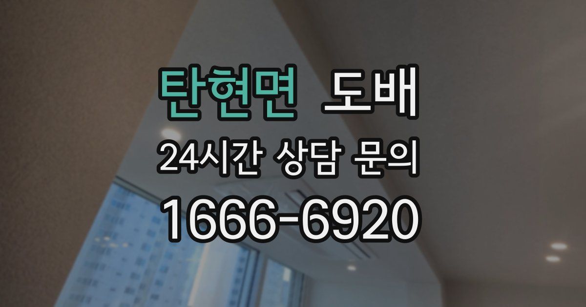 탄현면 도배