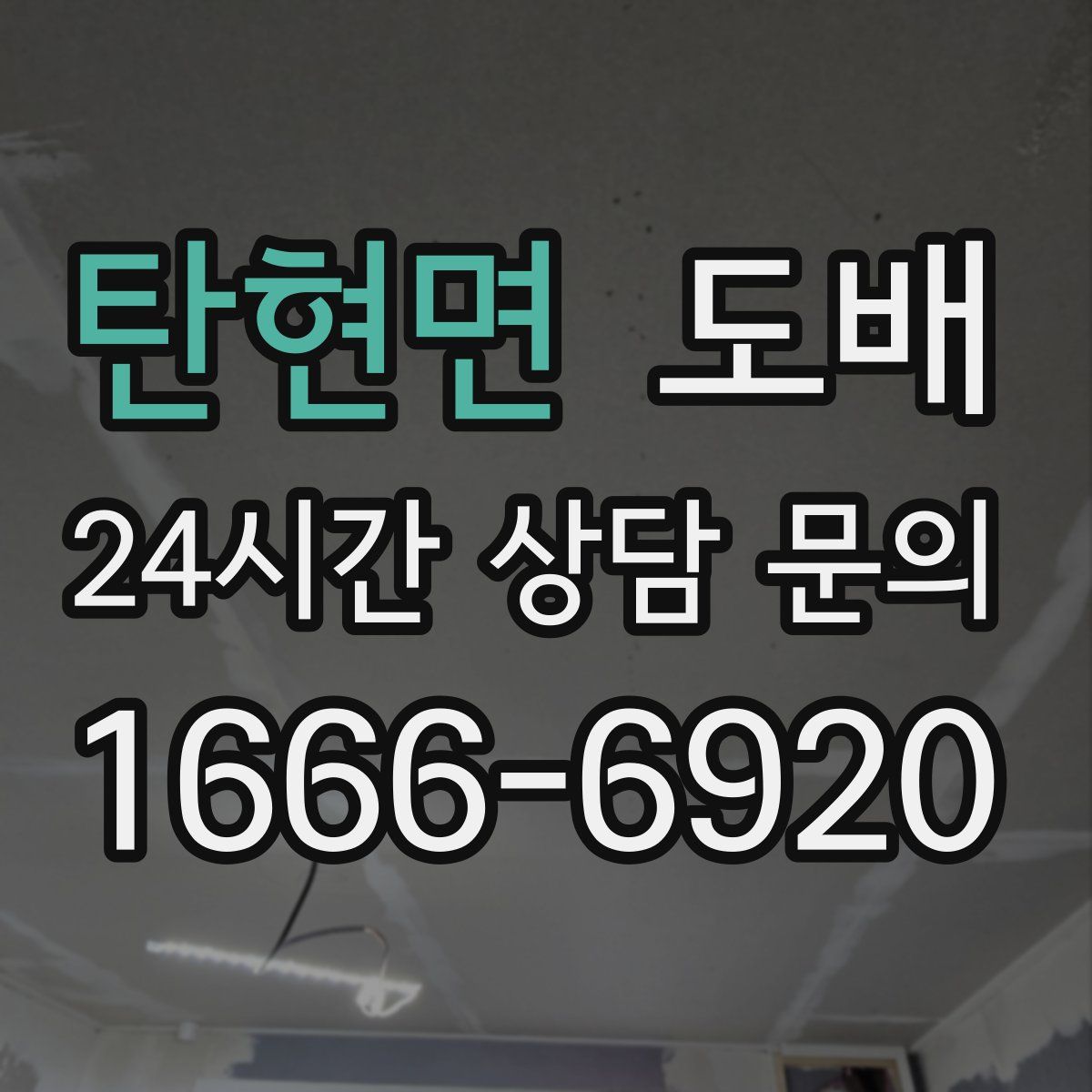 탄현면 도배