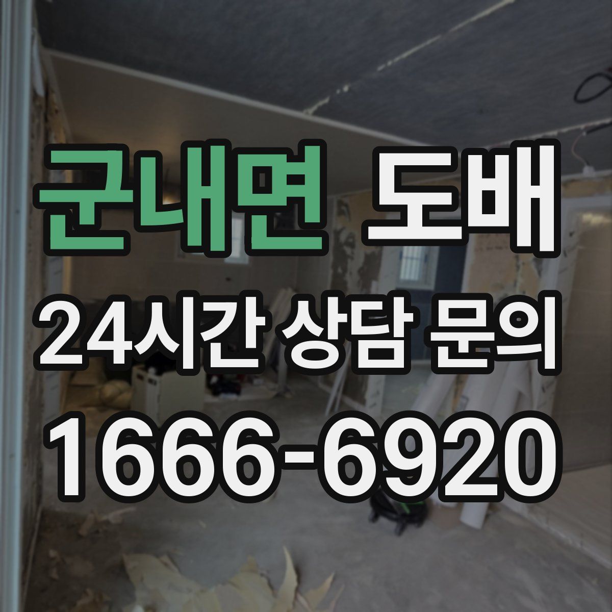 군내면 도배