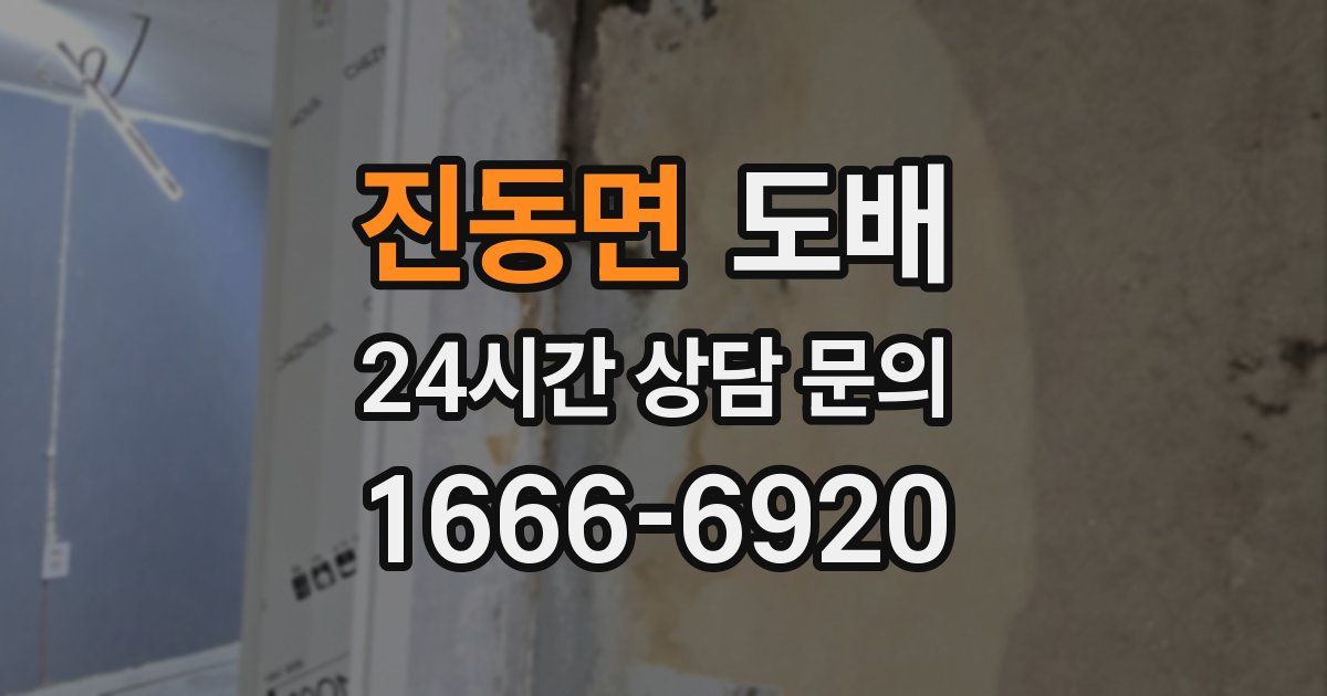 진동면 도배
