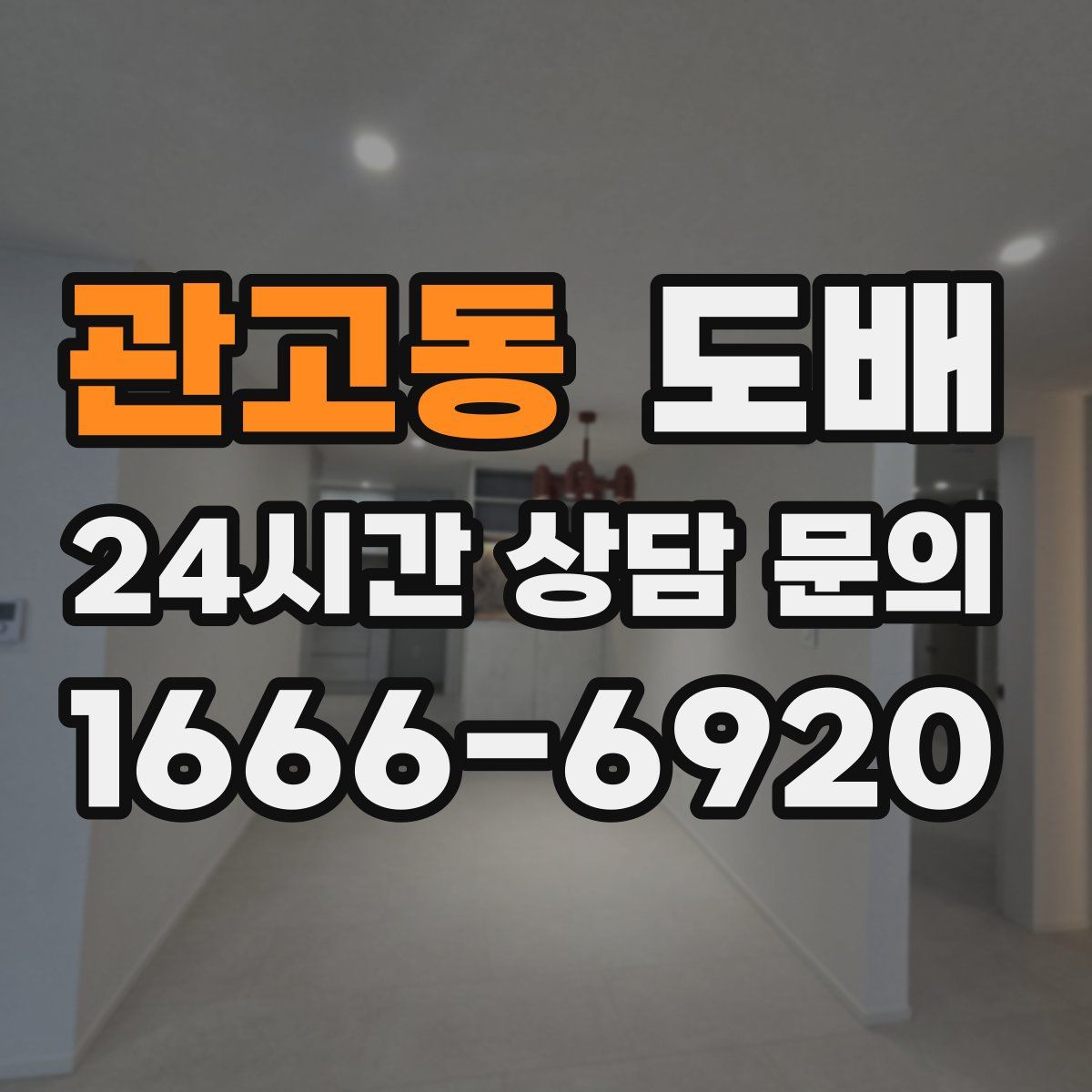 관고동 도배