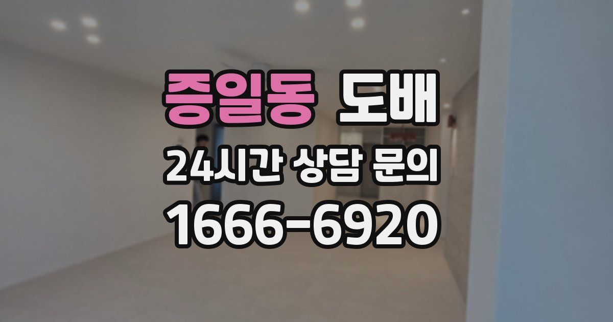 증일동 도배