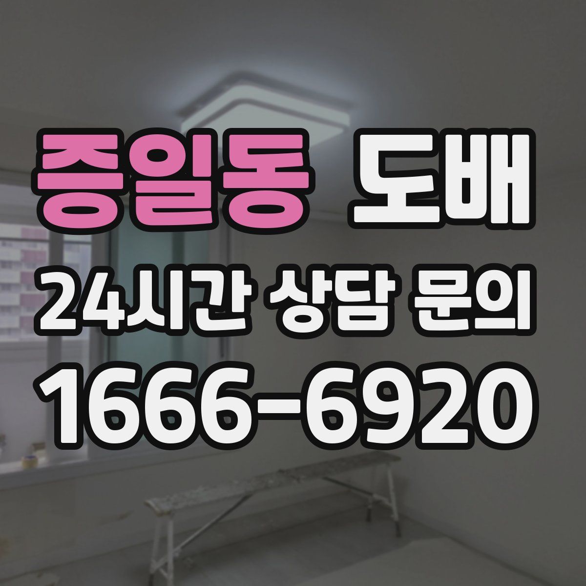 증일동 도배
