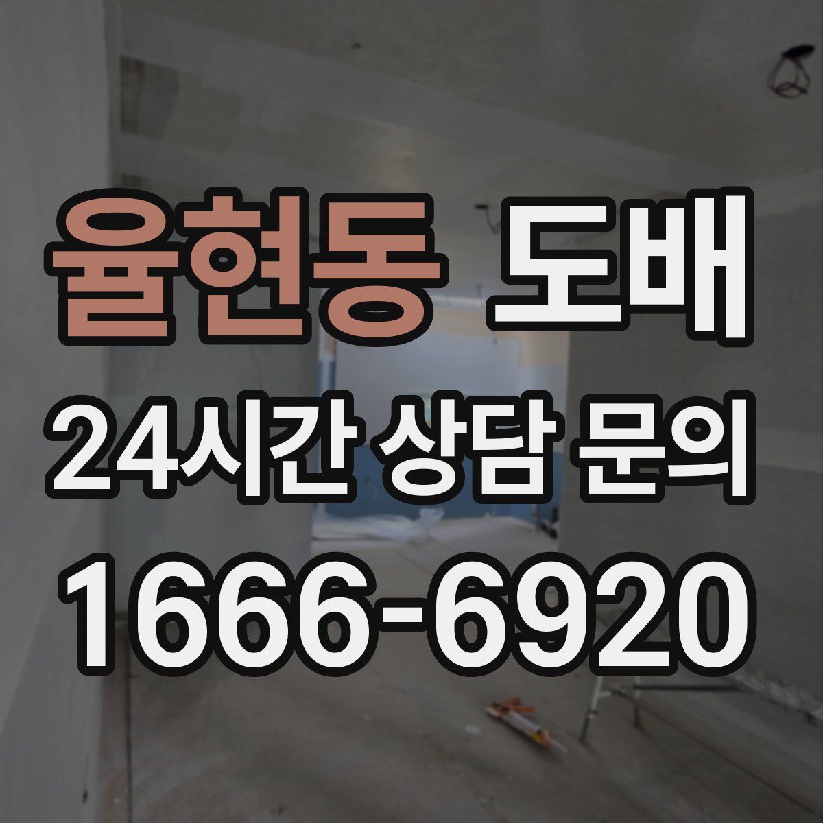 율현동 도배