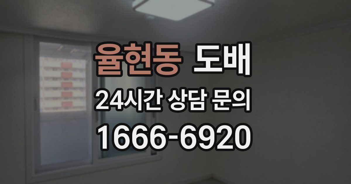 율현동 도배