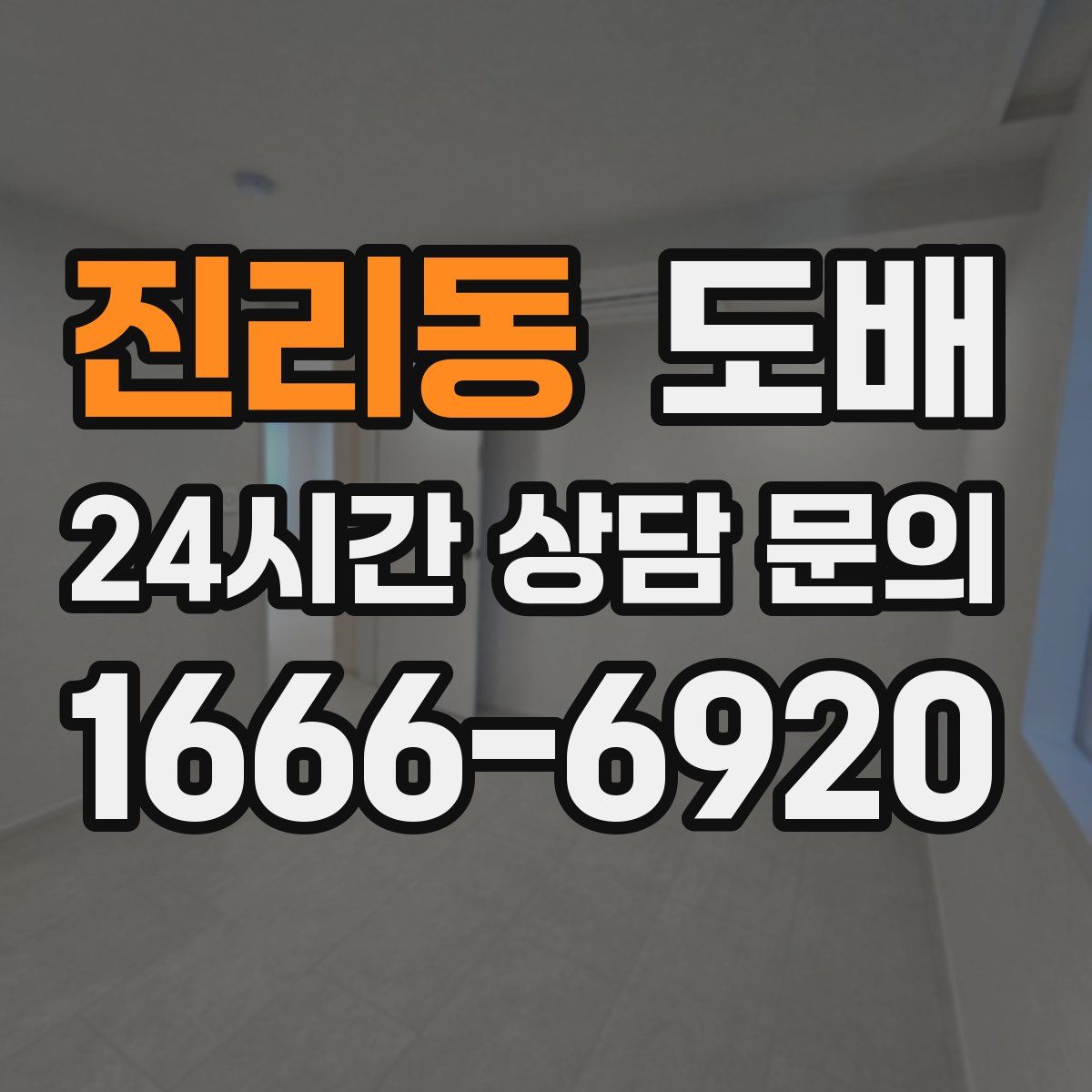 진리동 도배