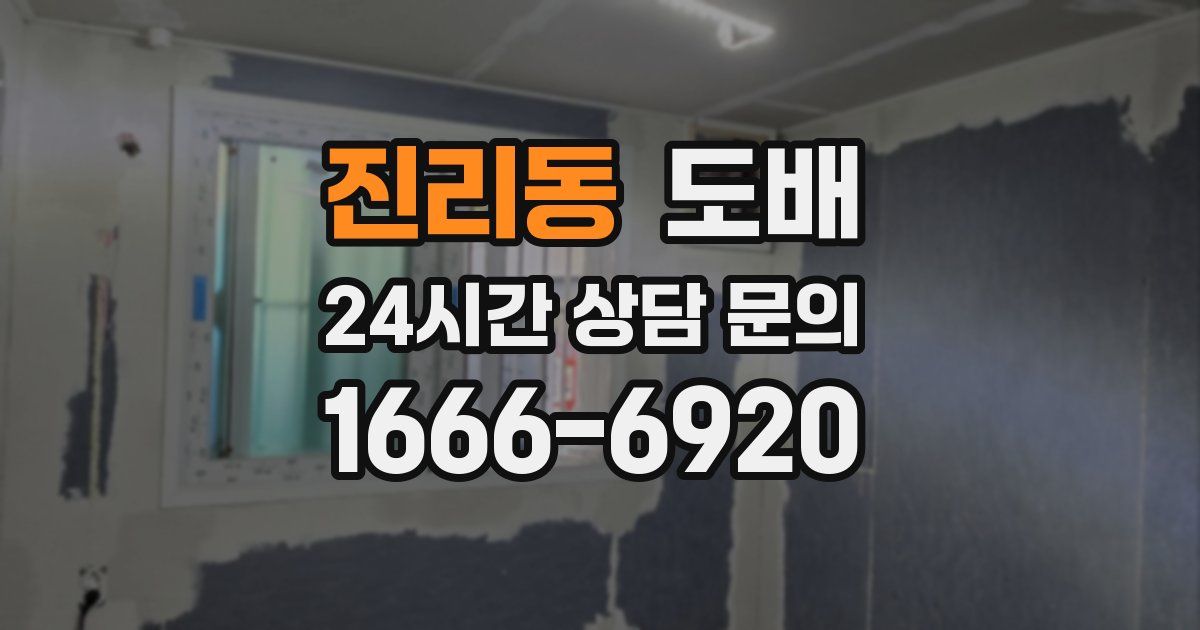 진리동 도배