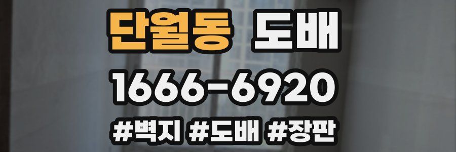 단월동 도배