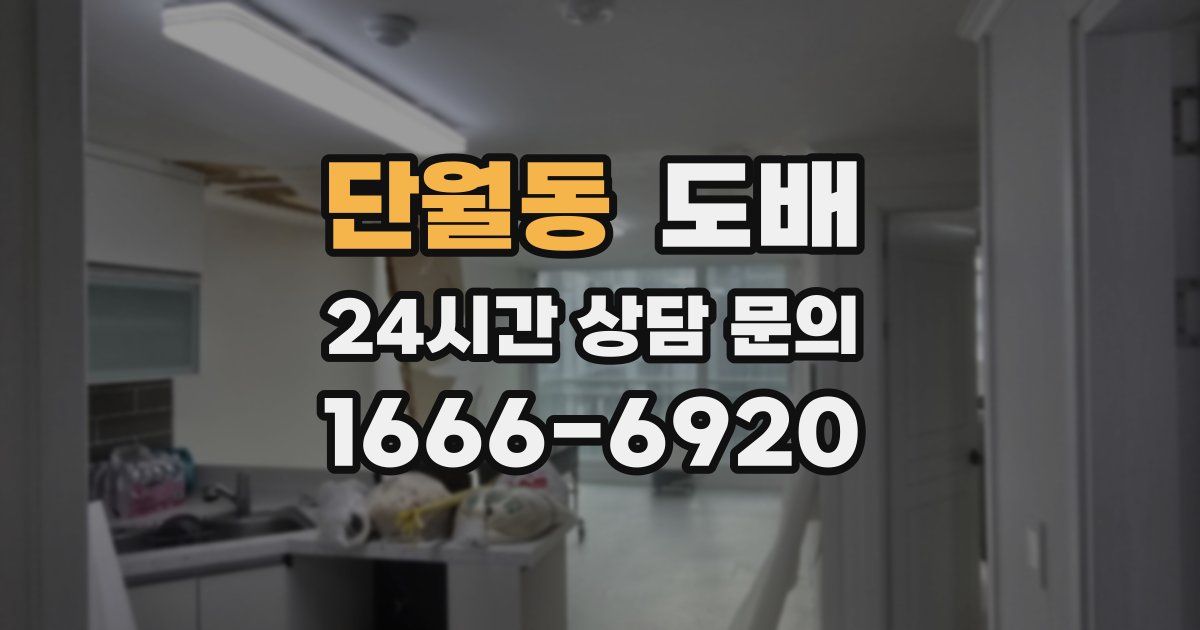 단월동 도배