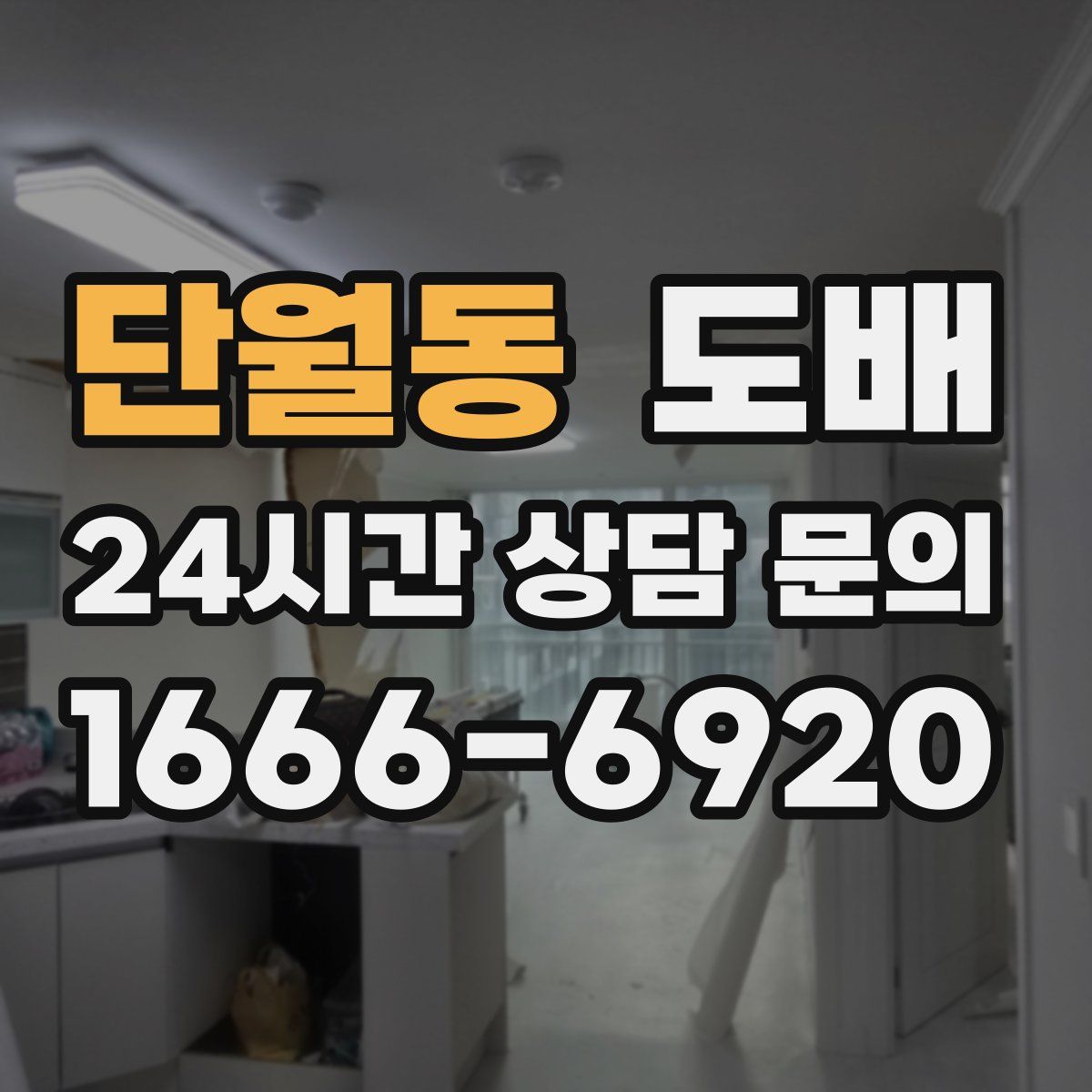 단월동 도배