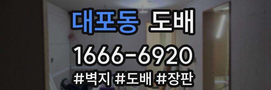 대포동 도배