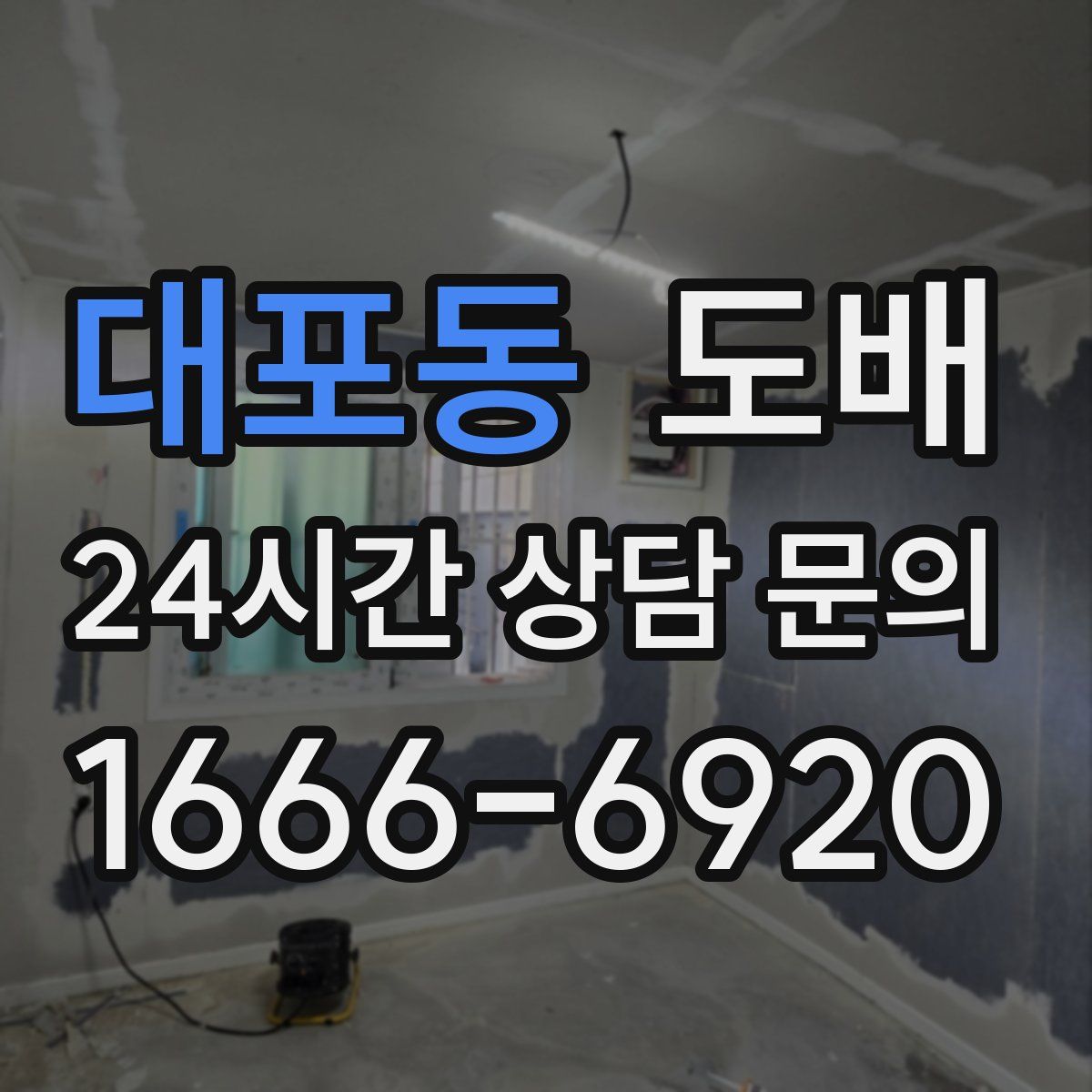 대포동 도배