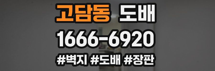 고담동 도배