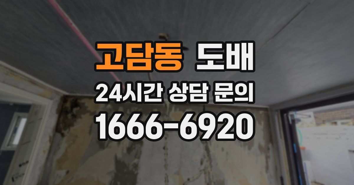 고담동 도배