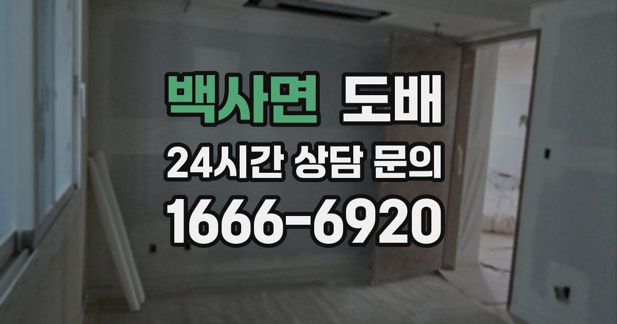 백사면 도배
