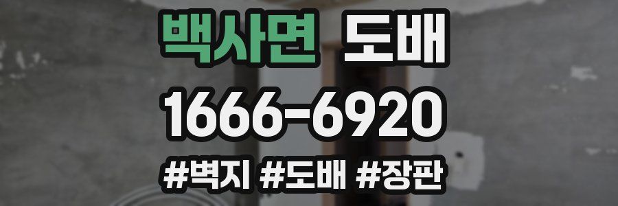 백사면 도배