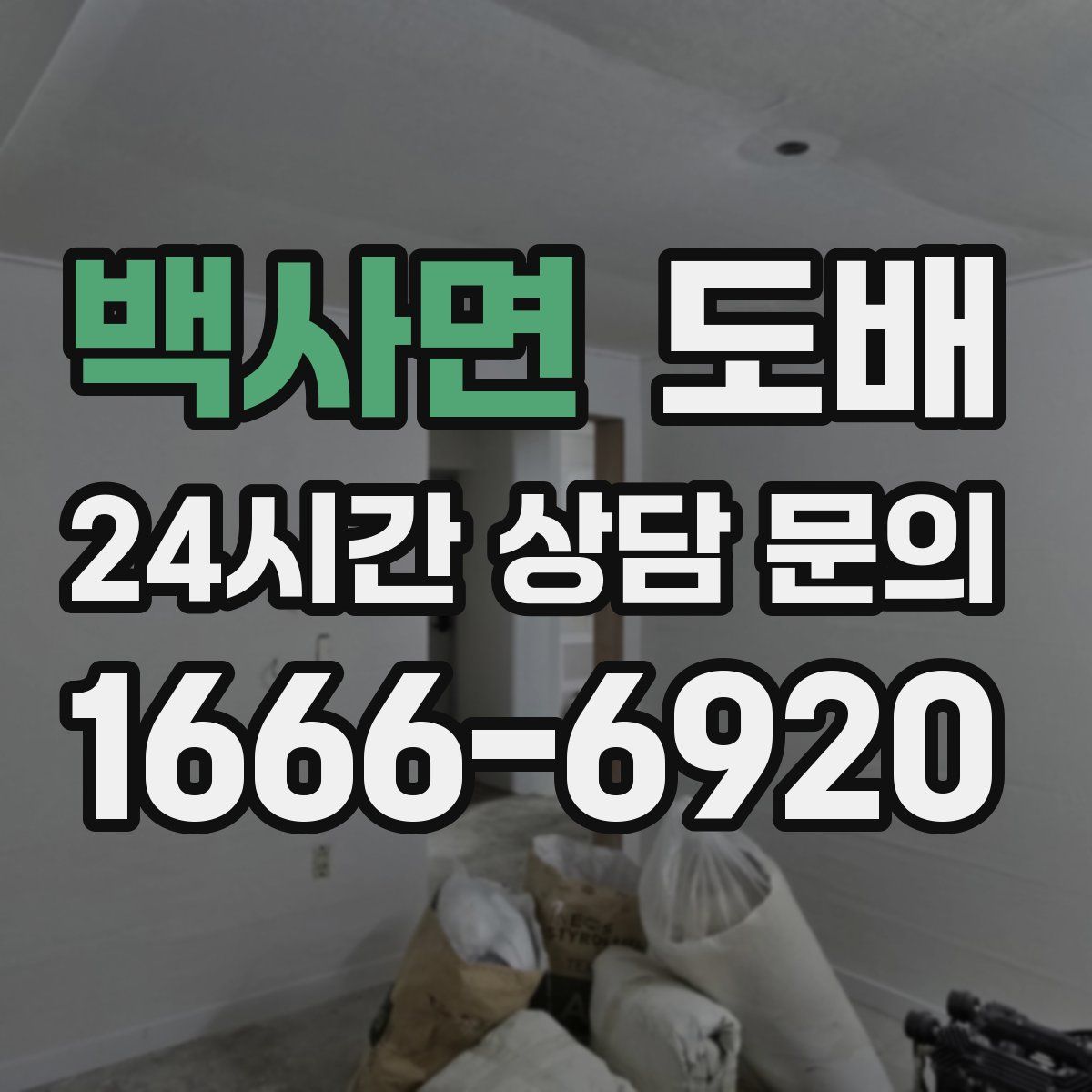 백사면 도배