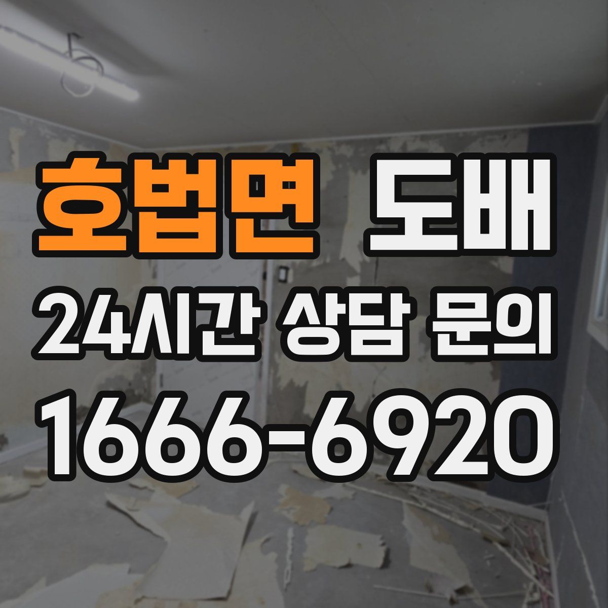 호법면 도배