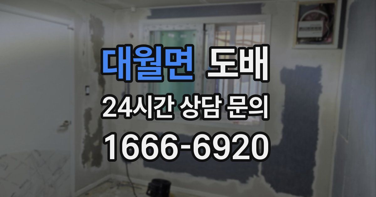 대월면 도배