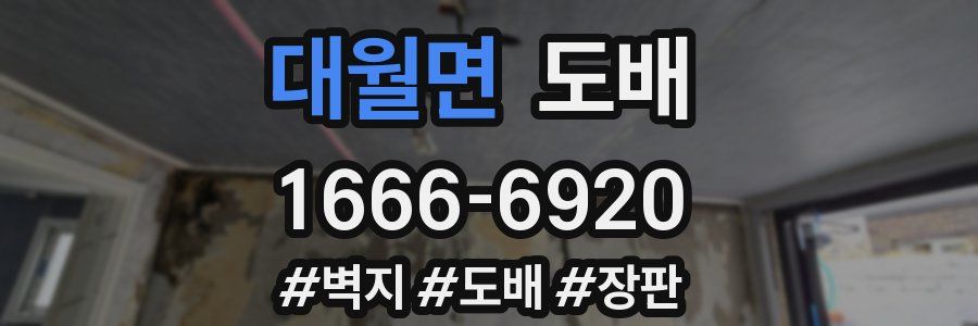 대월면 도배