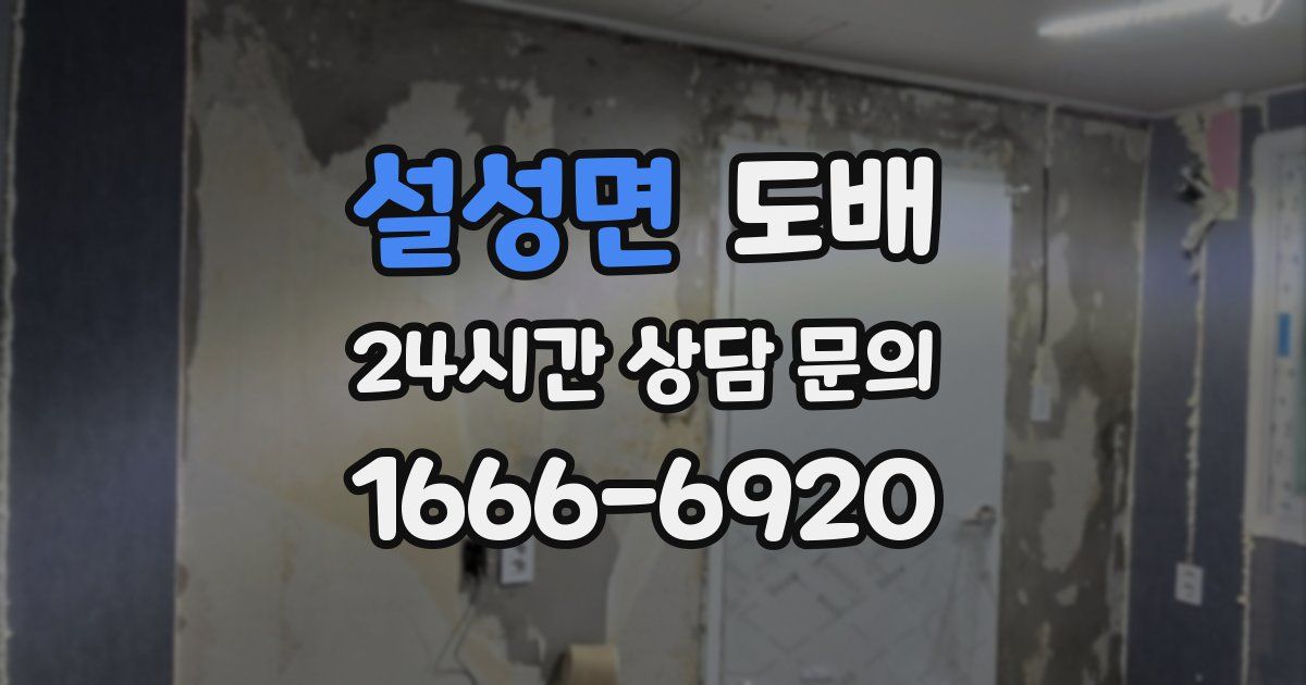 설성면 도배