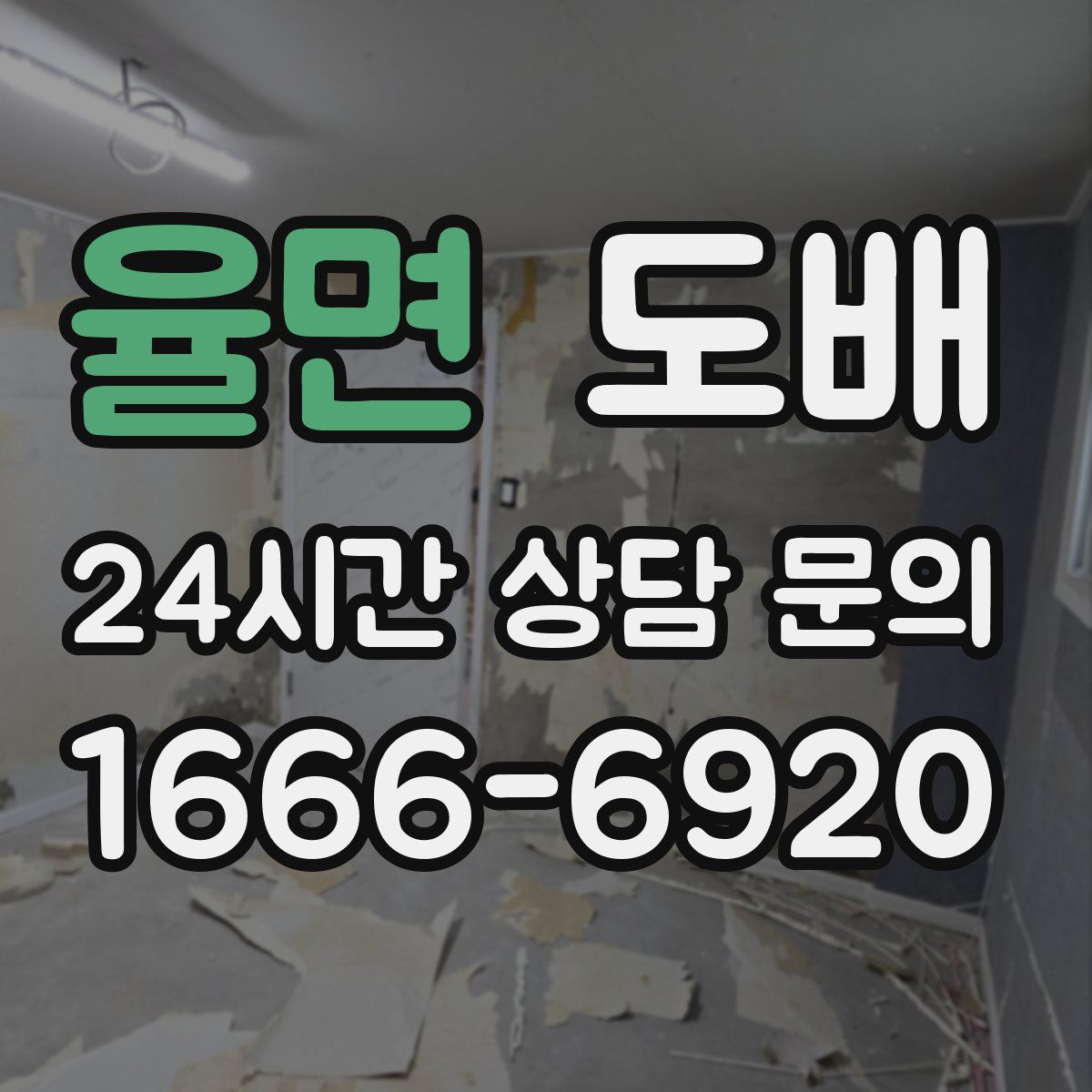 율면 도배