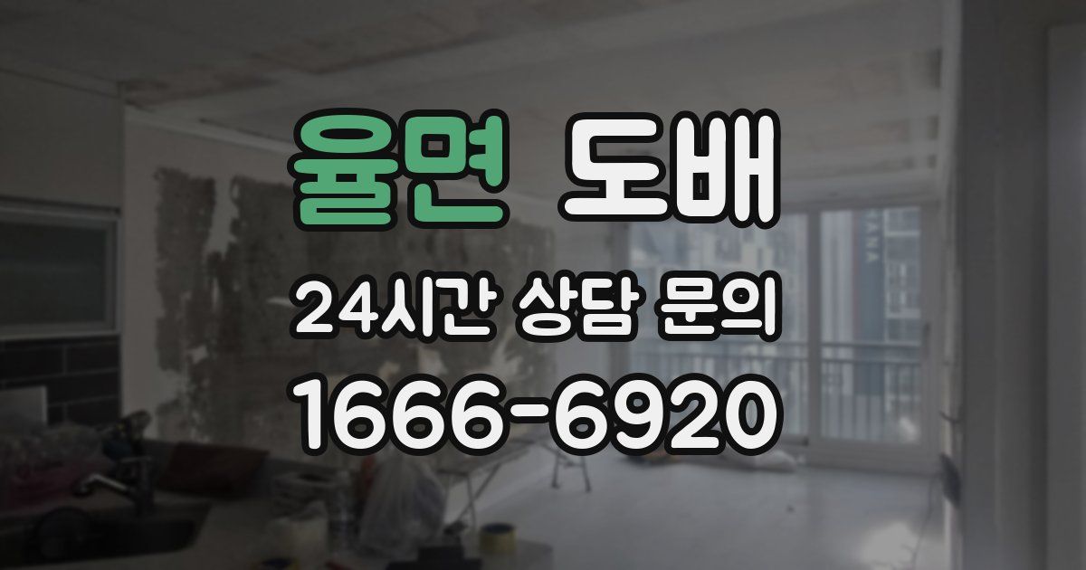 율면 도배