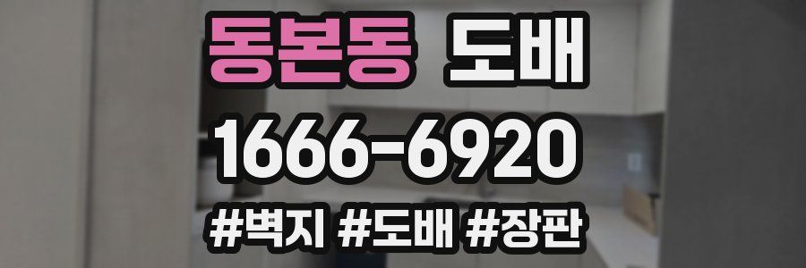 동본동 도배