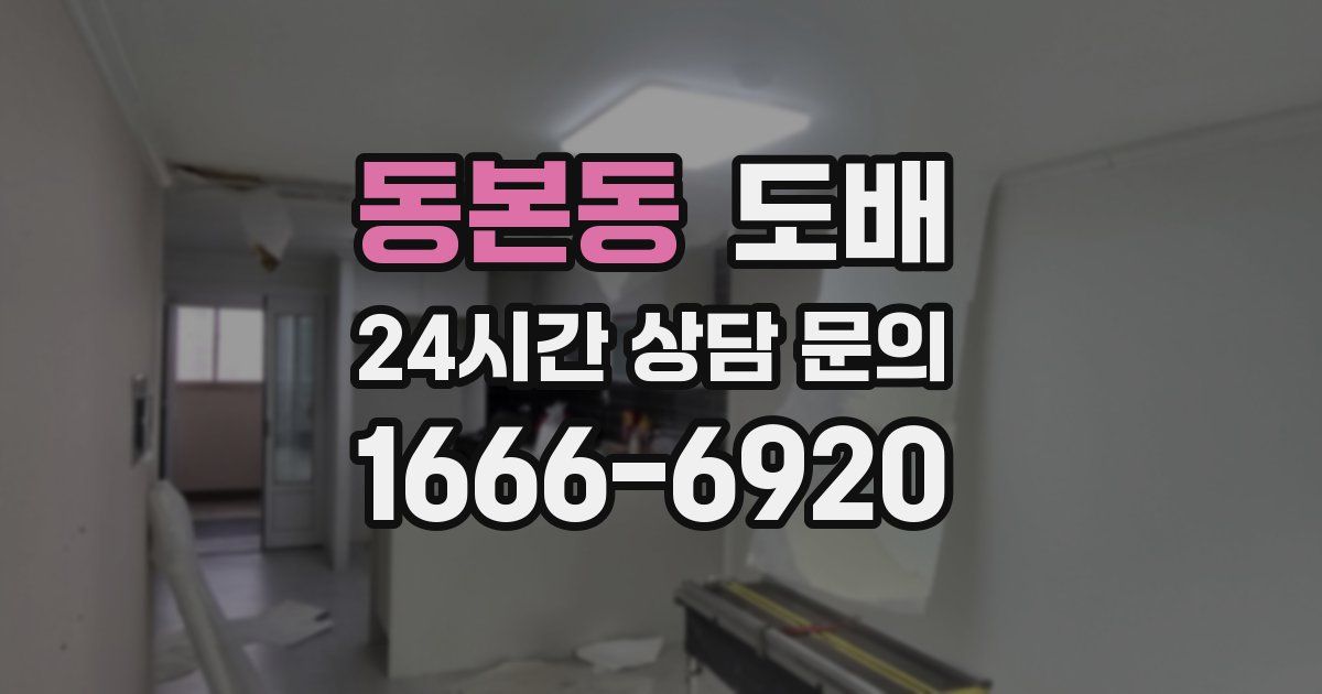 동본동 도배