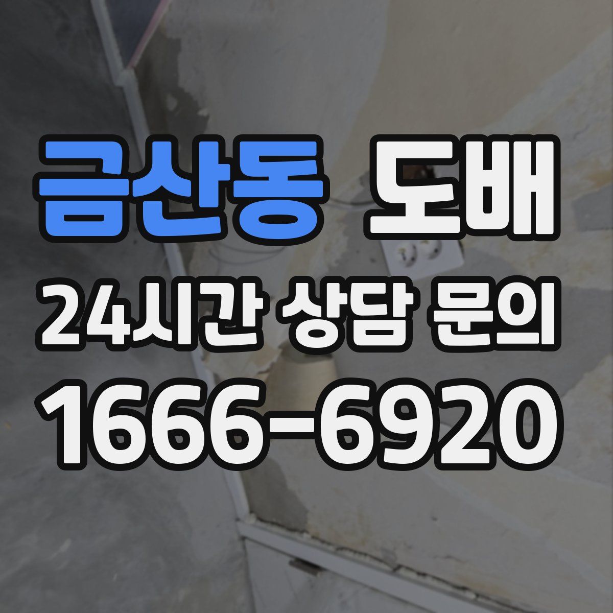 금산동 도배