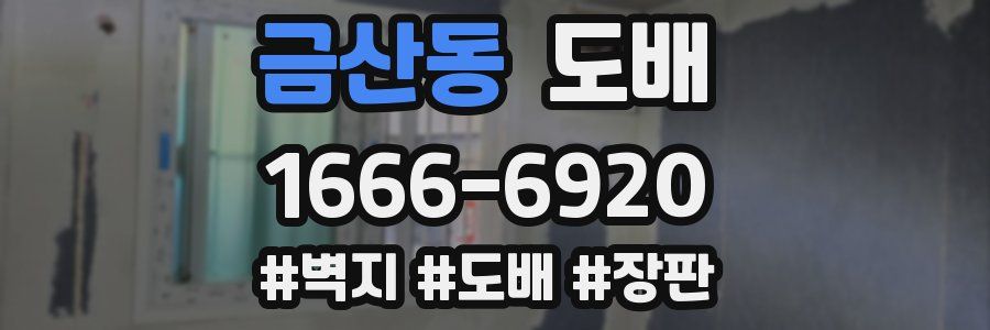 금산동 도배