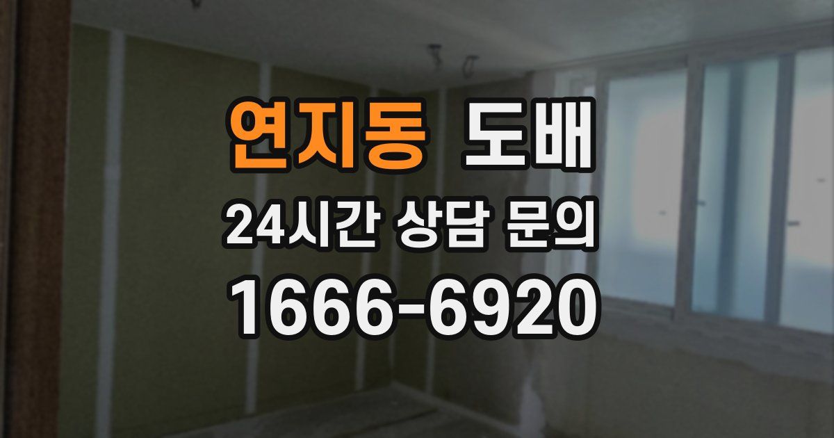 연지동 도배