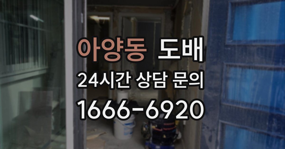 아양동 도배