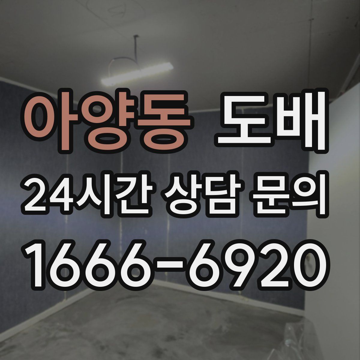 아양동 도배