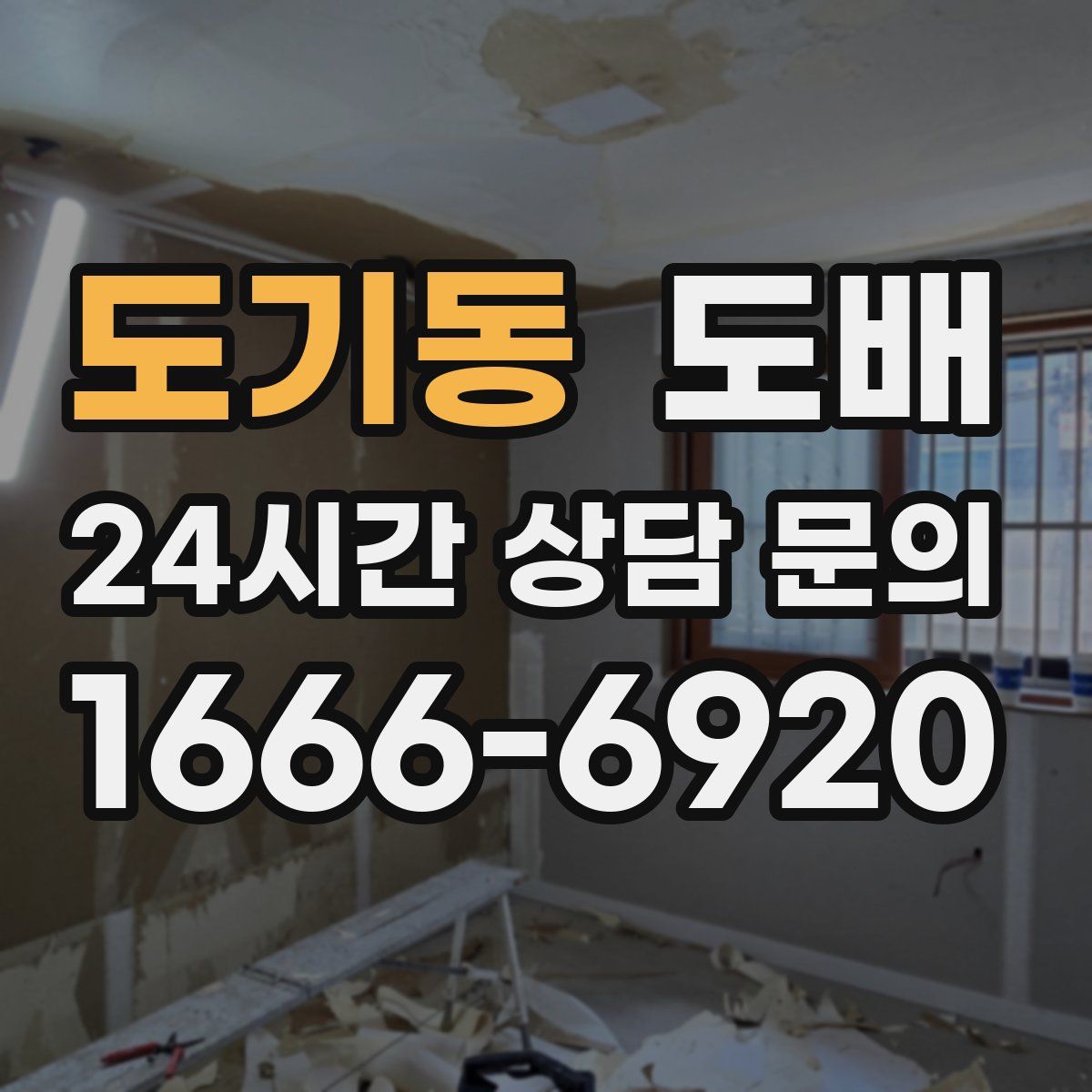 도기동 도배